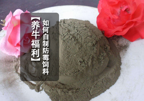 自制飼料防霉劑